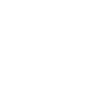 Brand Logo 2