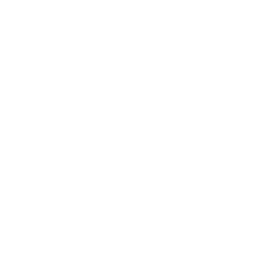 Brand Logo 3